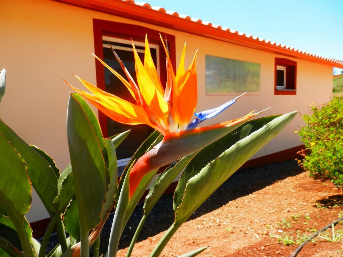 Au Petit Madere Villa Prazeres Exterior photo